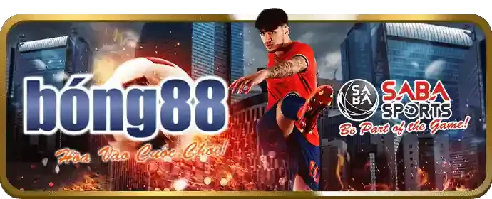 Cập nhật giải đấu thể thao mới tại 85win